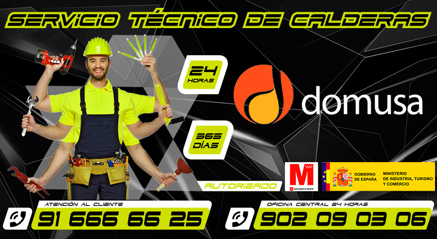 Servicio Técnico Calderas Domusa Pinto